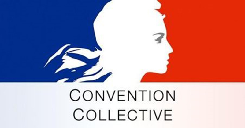 Convention Collective Nationale Des Entreprises Du Paysage