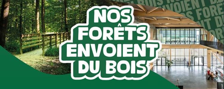 Nos forets envoient du bois