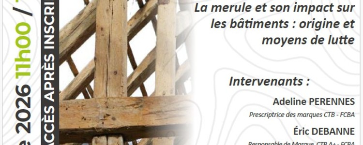 La merule
